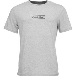 Calvin Klein REIMAGINED HER LW-S/S CREW NECK Pánské tričko, šedá, veľkosť XL