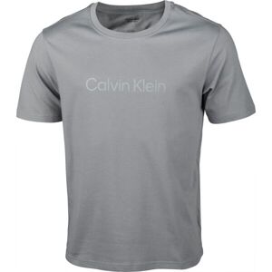 Calvin Klein S/S T-SHIRTS Pánské tričko, modrá, veľkosť S