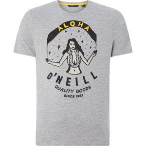 O'Neill LM WAIMEA T-SHIRT šedá S - Pánské tričko