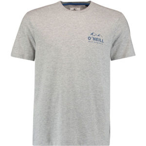 O'Neill LM ROCKY MOUNTAINS T-SHIRT Pánské tričko, šedá, velikost S
