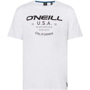 O'Neill LM DAWSON T-SHIRT bílá M - Pánské tričko