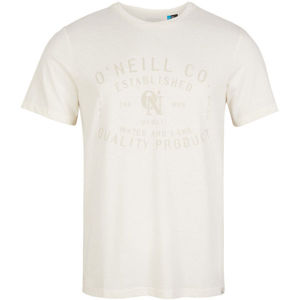 O'Neill LM ESTABLISHED T-SHIRT  XS - Pánské tričko