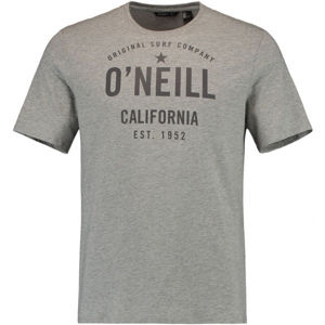 O'Neill LM OCOTILLO T-SHIRT šedá 2xl - Pánské tričko