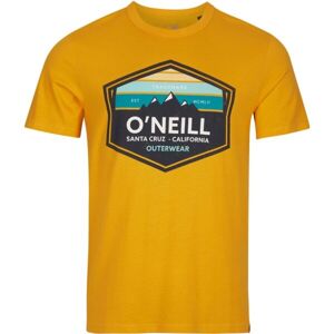 O'Neill MTN HORIZON T-SHIRT Pánské tričko, oranžová, velikost M