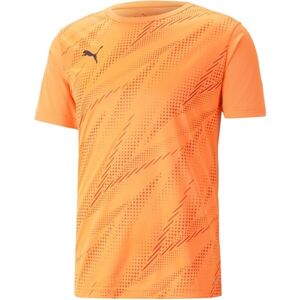 Puma INDIVIDUALRISE GRAPHIC TEE Pánské triko, oranžová, velikost M