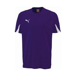 Puma SHIRTS SS TEAM - Sportovní pánské triko