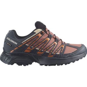 Salomon XT RECKON GTX W Dámská trailová obuv, hnědá, veľkosť 42