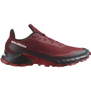 Salomon ALPHACROSS 5 Pánská obuv pro trailový běh, černá, veľkosť 42 2/3