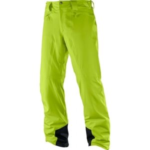 Salomon ICEMANIA PANT M zelená L - Pánské zimní kalhoty